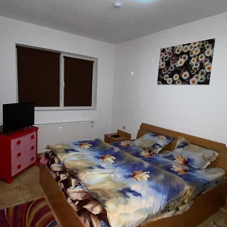 Апартаменти Apartament Cochet Бухарест Екстер'єр фото