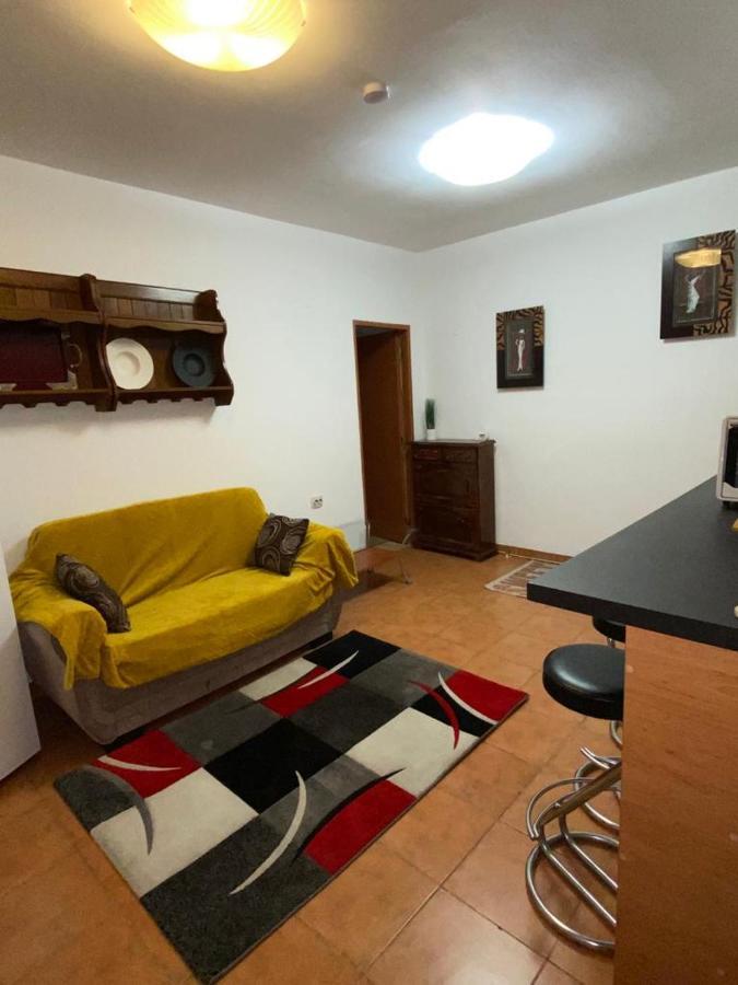Апартаменти Apartament Cochet Бухарест Екстер'єр фото